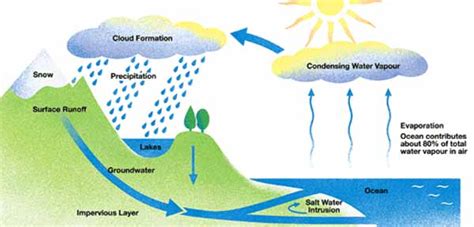 Proses terjadinya hujan asam pada siklus air sumber : INILAH PROSES TERJADINYA HUJAN TURUN