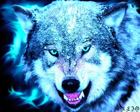 Neon Wolf Wallpapers Wallpaper Cave