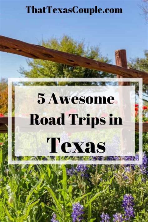 Planning A Road Trip In Texas We Have You Covered With This List Of