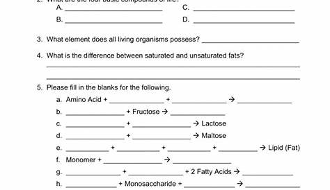 Organic Compounds Worksheet Biology Answers — db-excel.com