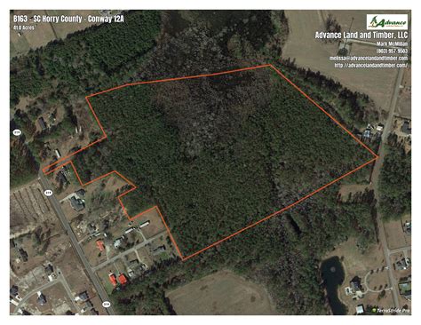 Hunting Land For Sale In Horry County Sc at Marvin McGuinness blog