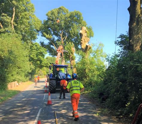 Contact me today to receive a free estimate. Tree removal - NJ Tree Services
