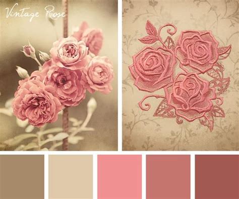 Vintage Rose Color Harmony Color Balance Colour Schemes Color Combos