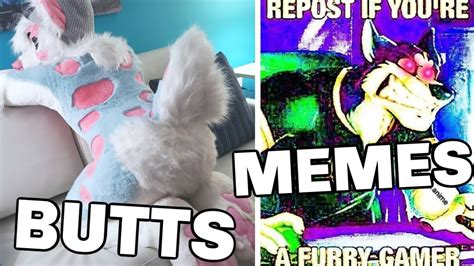 this video has fursuit butts and furry memes ⁽ⁿˢᶠʷ⁾ youtube
