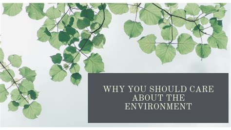 Why You Should Care About The Environment Journey To Going Green