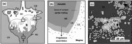 Formation And Entrainment Of Peritectic Crystals In Magmatic Systems
