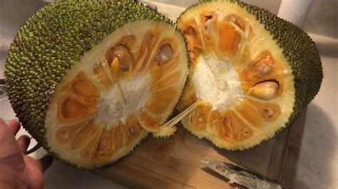 The Sweetest Tasting Jackfruit Ever Red Flesh Its Amazing Youtube