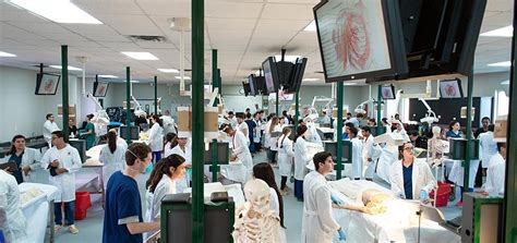 Anatomy Lab And Cadaver Dissection At Umhs School Of Medicine What