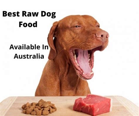 How many calories does my beagle need? Best Raw Dog Food (2021 Buyer's Guide) - gentledogtrainers ...