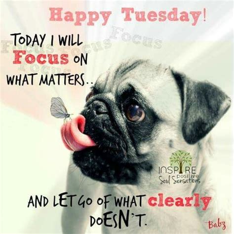Tuesday is only the beginning of the week. Pin on Week days quotes