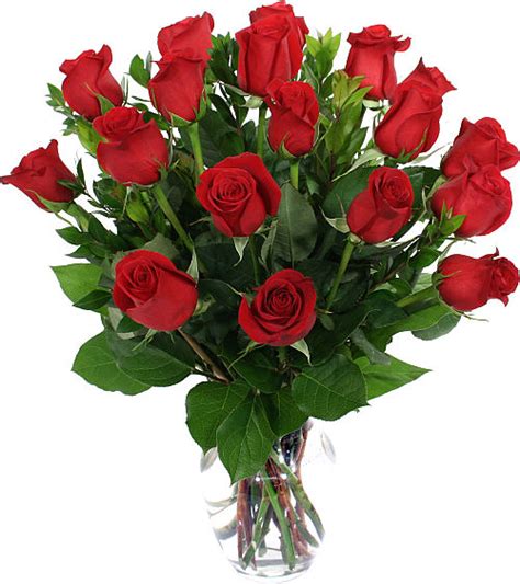 18 Red Roses In A Vase Cg12aa • Canada Flowers