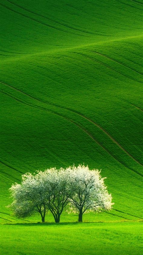 Green Beautiful Nature Scenery Android Nature Android Hd Phone