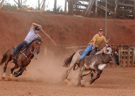 Team Roping Free Photo Download Freeimages