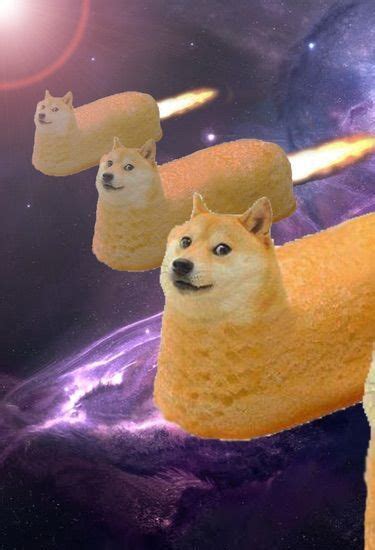 Doge Army Wiki Doge Fans Only Amino