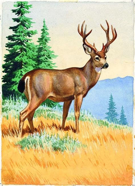 A Painting Of A Deer Standing On Top Of A Grass Covered Field