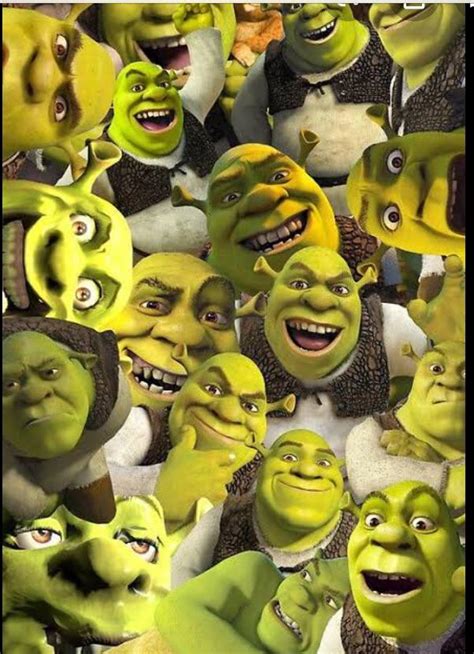 Shrek Wallpaper For Shrek Has Swag Gamers Rpyrocynical