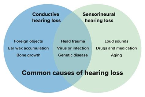 Types Of Hearing Loss Sensorineural Conductive Mixed