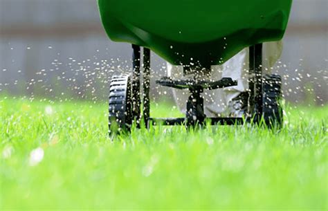 Commercial Lawn Fertilization Best Practices Lawn Butler