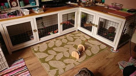 rabbitat heaven ideas to make your rabbit s living space amazing indoor rabbit rabbit