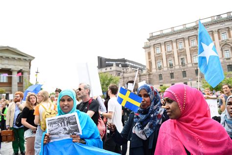 Actualizar Imagen Migration Office Sweden Abzlocal Mx