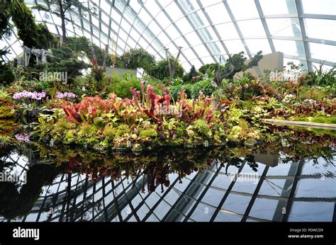 Singapore Sep 5 View Of Cloud Forest At Gardens By The Bay On