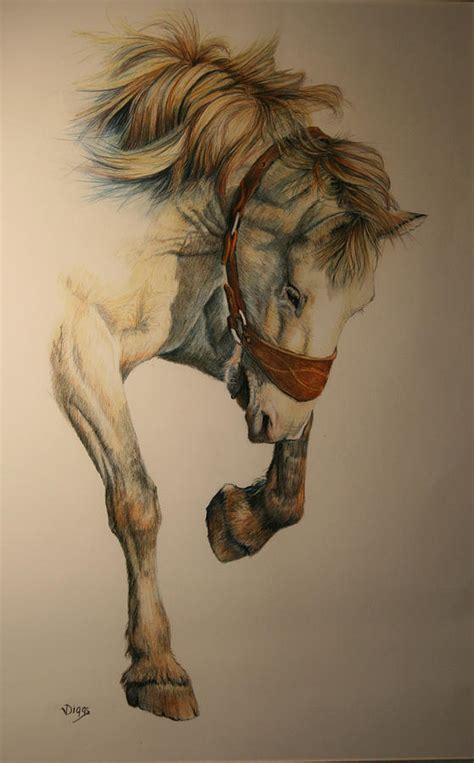 Saddle Bronc 1 Drawing By Vicki Diggs Fine Art America