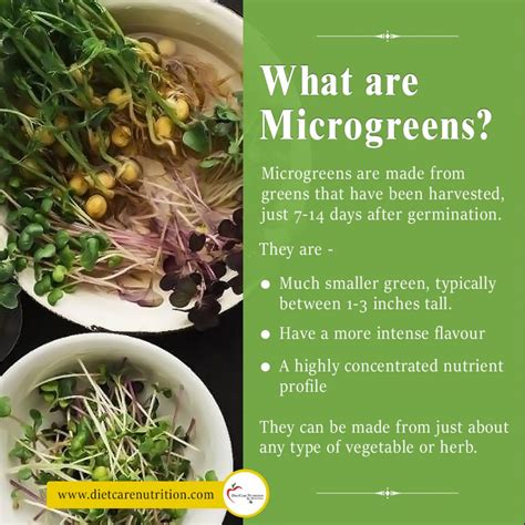 Microgreens The Nutritional Power Bombs