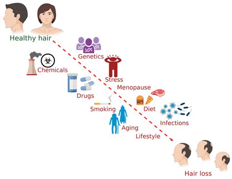 Factors Affecting Hair Health Encyclopedia MDPI