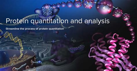 Protein Detection Quantification And Analysis