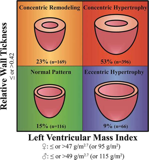 Sex Related Differences In Calcific Aortic Valve Stenosis Pathophysiology Epidemiology