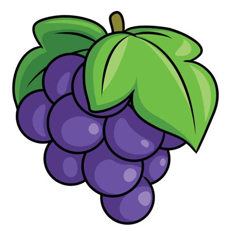 Concord Grapes Illustrations Royalty Free Vector Graphics
