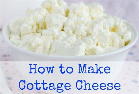 How To Make Cottage Cheese Homemade Cottage Cheese Cheese Recipes Homemade Cottage Cheese