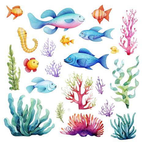 Under The Sea Watercolor Clipart Png Sea Clipart Watercolor Clipart Summer Watercolor Png