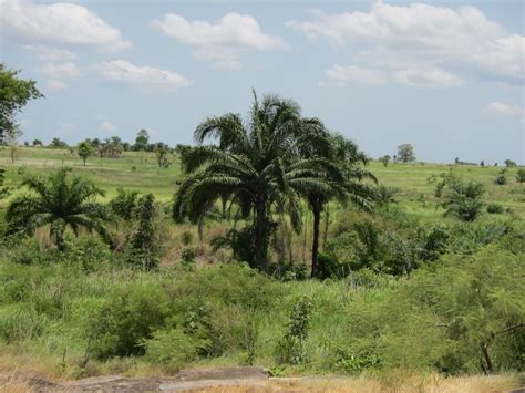 Vision Onward Togo West Africa Land Purchased