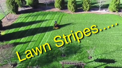 Mowing The Lawn Wright Mower Stripes Youtube