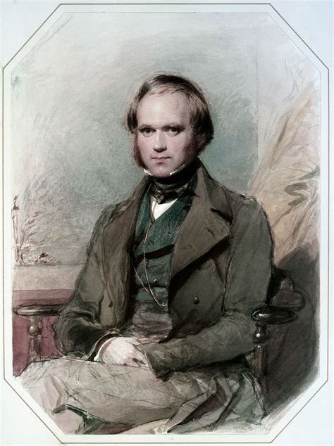 Charles Darwin Illustration World History Encyclopedia