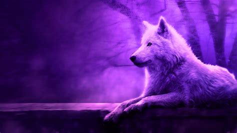 Aesthetic Wolf Wallpapers Wallpaper Cave