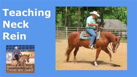 Teaching A Western Horse To Neck Rein Youtube