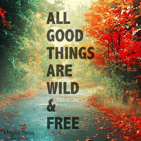 No one can control them once they've felt free. The best things in life are wild and free :)