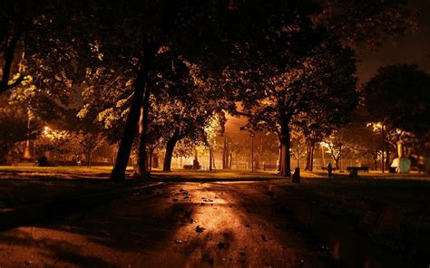 Wallpaper Park Night Lighting Trees Path Leaves 1920x1200