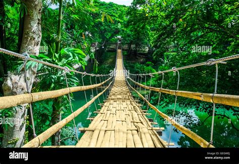 Bamboo Pedestrian Hanging Bridge Over River In Tropical Forest Bohol