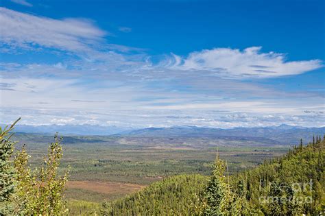 Central Yukon T Canada Taiga And Ogilvie Mountains Photograph By