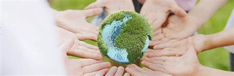 Sustentabilidade o que é tipos e exemplos Portal da Indústria