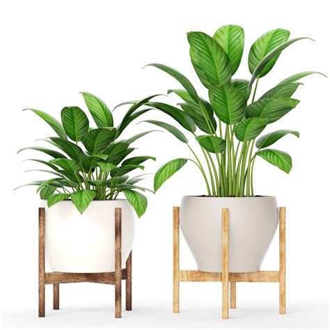 3d Model Plants Collection Vase Cgtrader