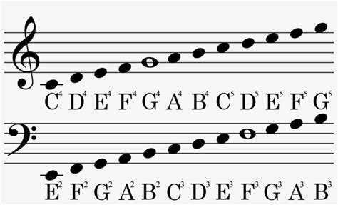 Sheet Music Notes Guide Bass Clef 1200x669 Png Download Pngkit