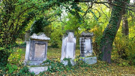 Mozart′s Mysterious Grave In Vienna Dw Travel Dw 02122016