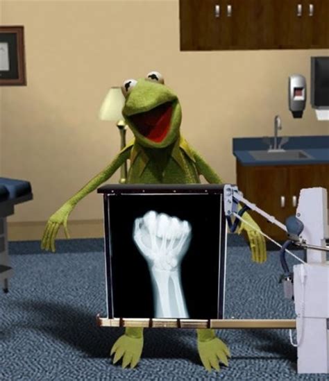 X Ray Of Kermit The Frogs Body Sesame Streets Muppet Secret Revealed