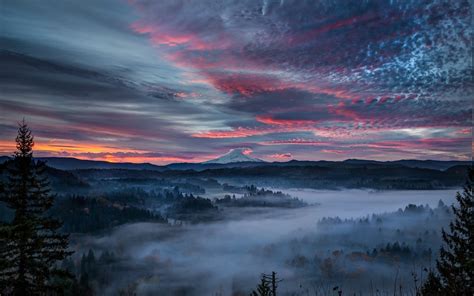 Nature Landscape Mist Valley Forest Sunrise Clouds Mountain