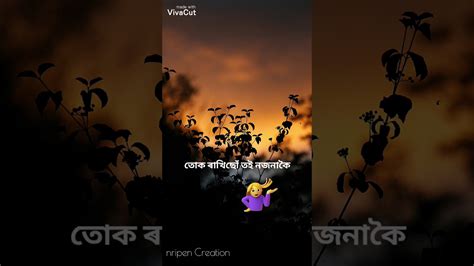 Resim, video ve gif formatlarını destekleyen bu özellik. WhatsApp status video|| Assamese || mur bukure ukho ...