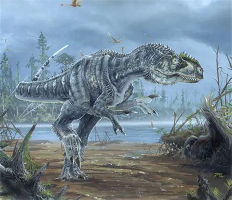 Allosaurus Facts And Pictures Science Facts